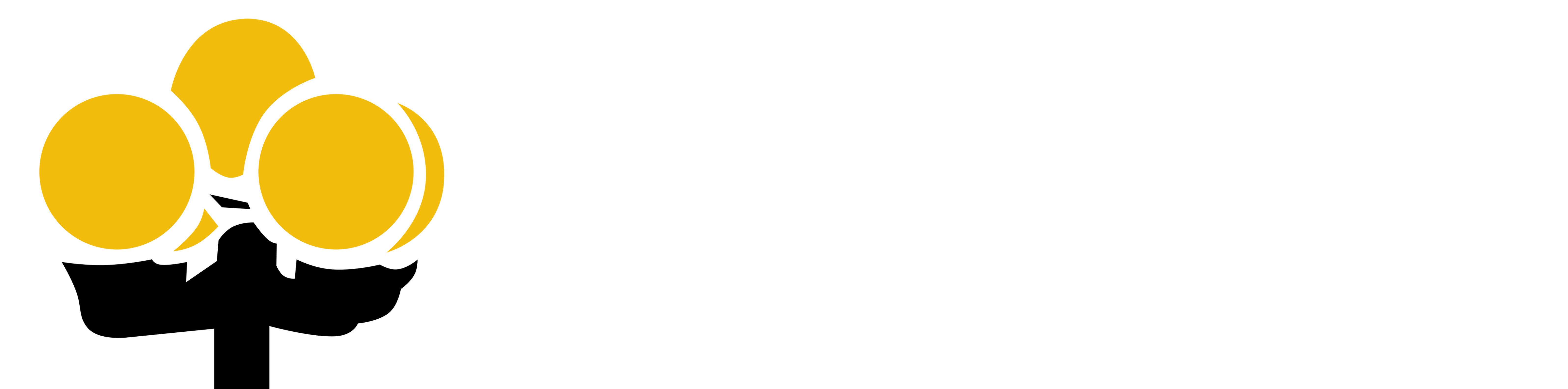 Parker Towing, Inc. logo